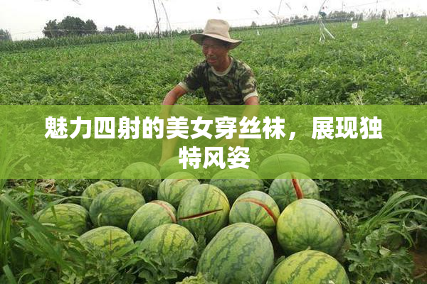 魅力四射的美女穿丝袜，展现独特风姿