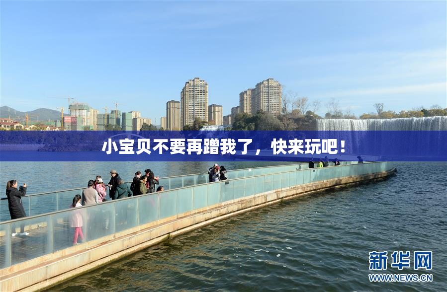 小宝贝不要再蹭我了，快来玩吧！