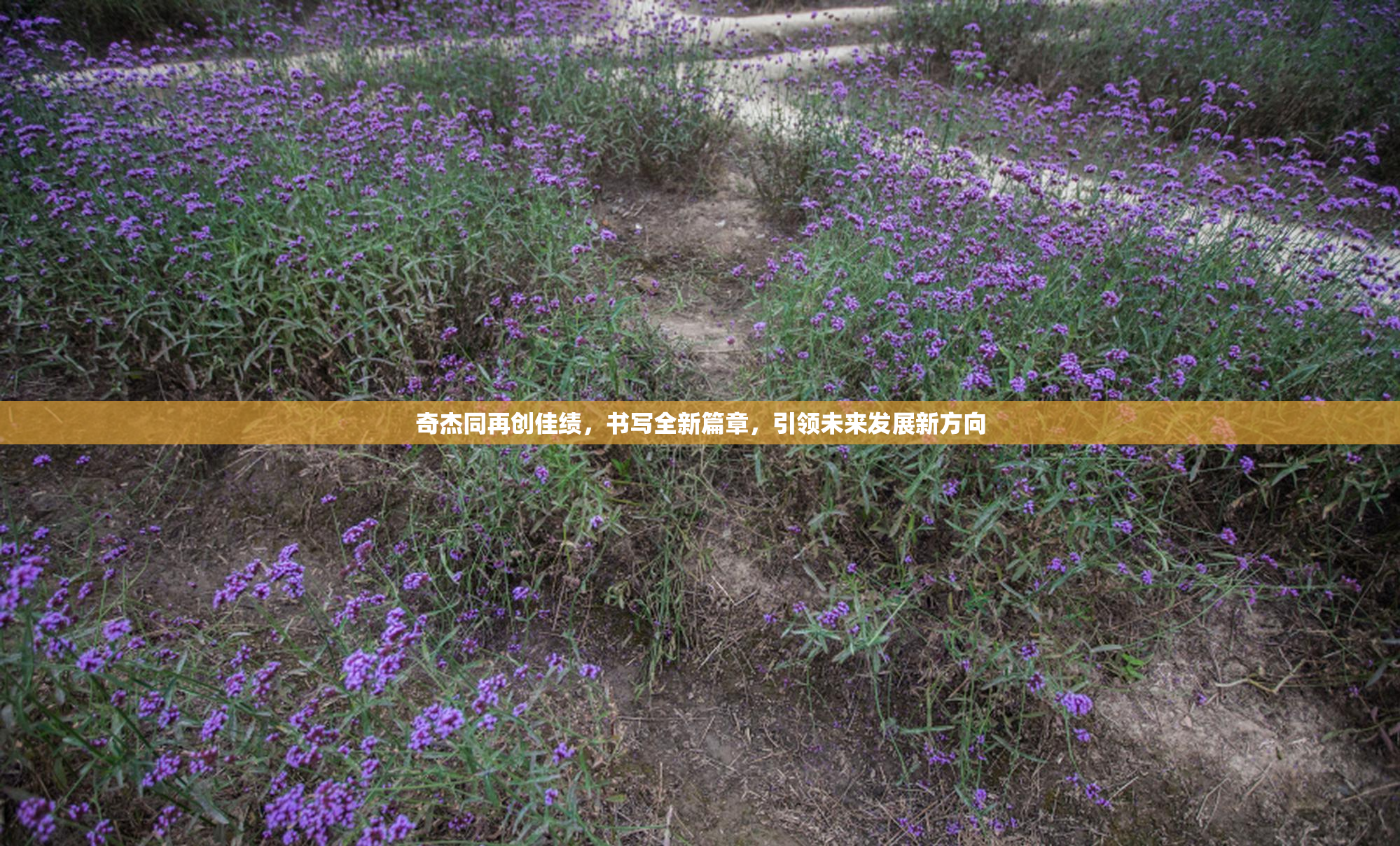 奇杰同再创佳绩，书写全新篇章，引领未来发展新方向