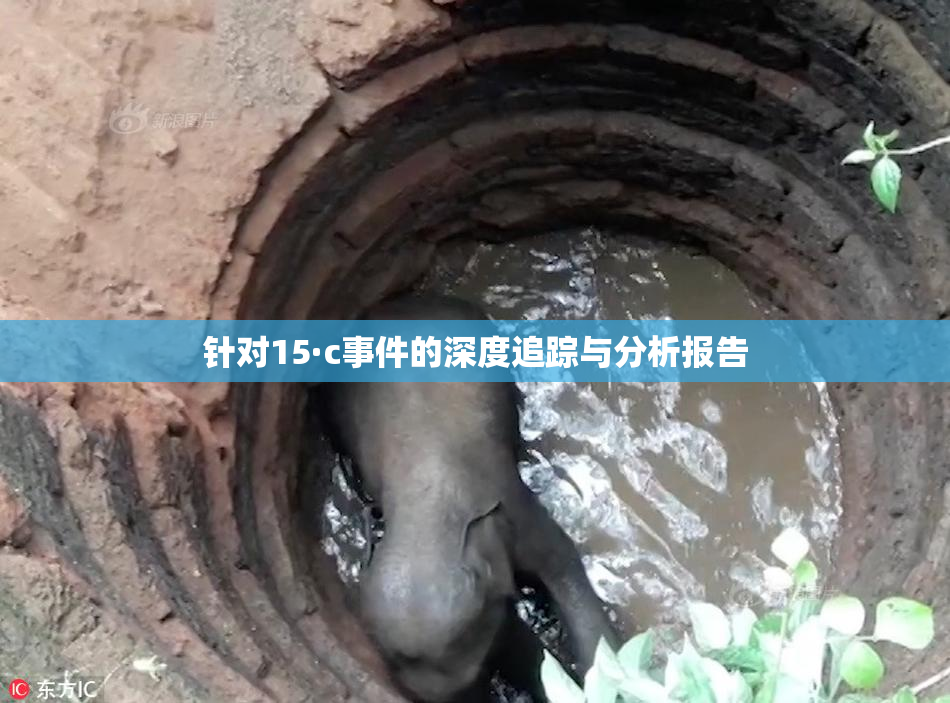 针对15·c事件的深度追踪与分析报告