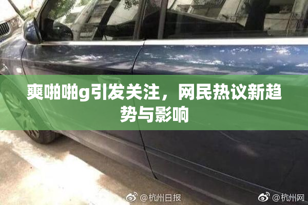 爽啪啪g引发关注，网民热议新趋势与影响