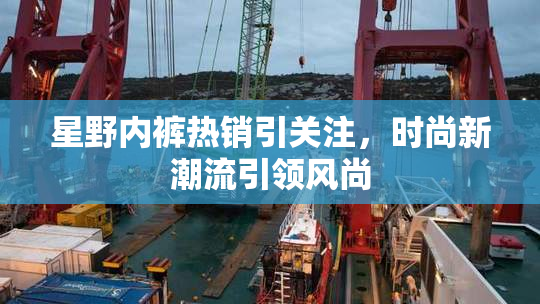 星野内裤热销引关注，时尚新潮流引领风尚
