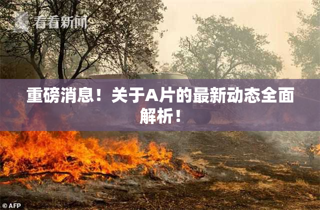 重磅消息！关于A片的最新动态全面解析！