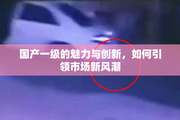 国产一级的魅力与创新，如何引领市场新风潮