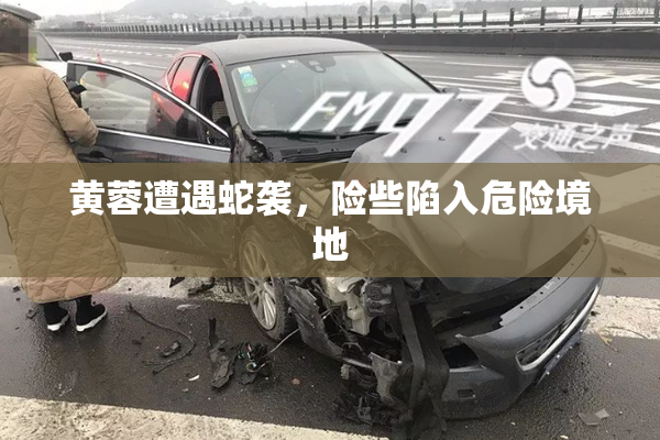 黄蓉遭遇蛇袭，险些陷入危险境地