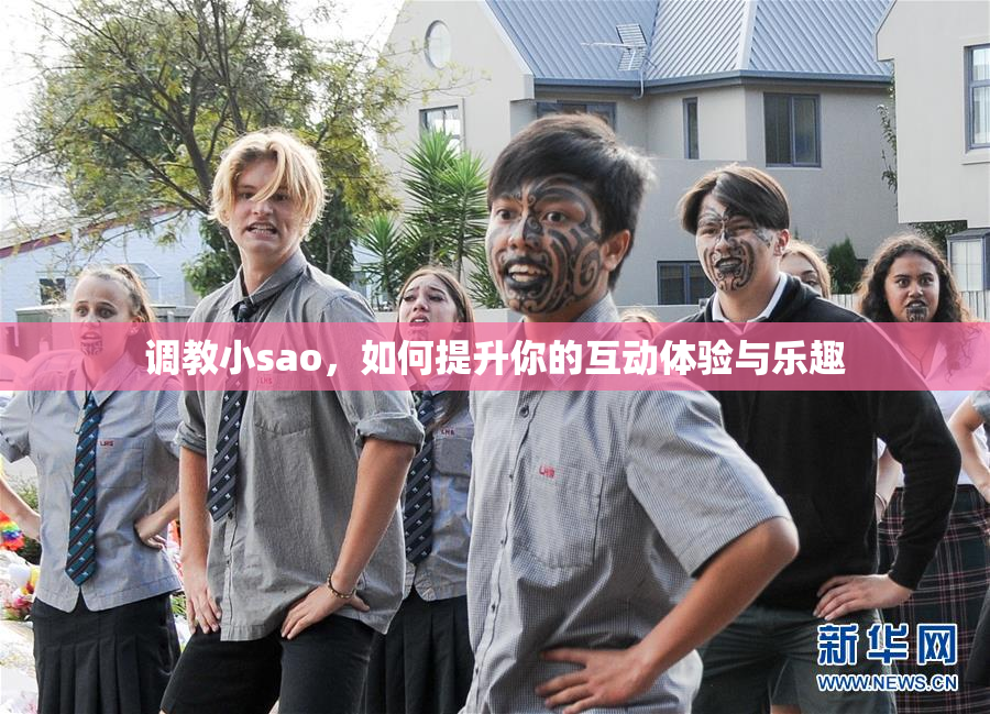调教小sao，如何提升你的互动体验与乐趣