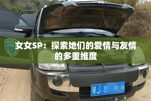 女女SP：探索她们的爱情与友情的多重维度