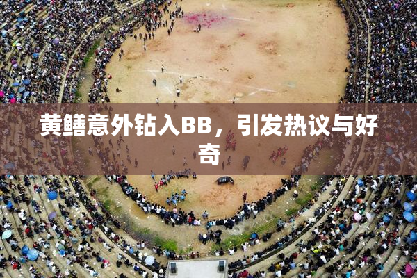 黄鳝意外钻入BB，引发热议与好奇