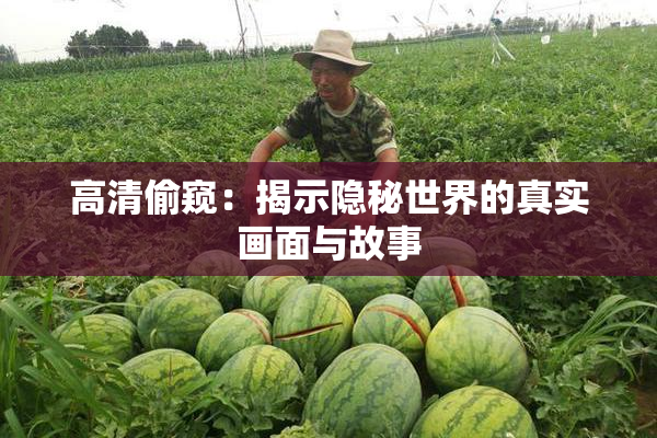 高清偷窥：揭示隐秘世界的真实画面与故事
