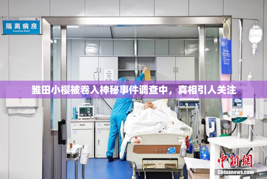 雏田小樱被卷入神秘事件调查中，真相引人关注