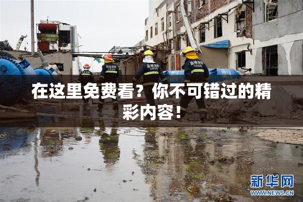 在这里免费看？你不可错过的精彩内容！