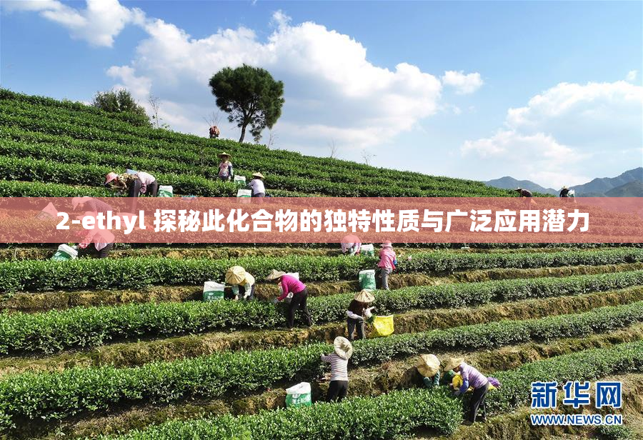 2-ethyl 探秘此化合物的独特性质与广泛应用潜力