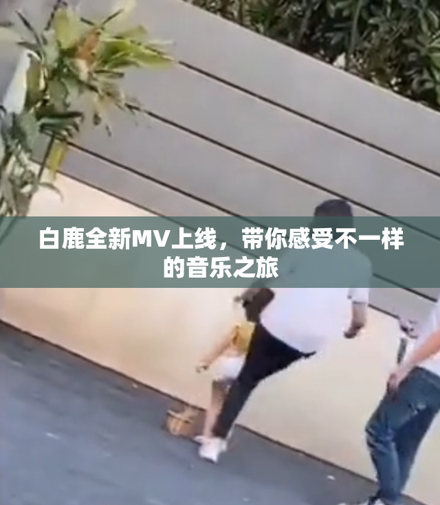 白鹿全新MV上线，带你感受不一样的音乐之旅