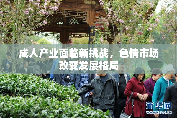 成人产业面临新挑战，色情市场改变发展格局