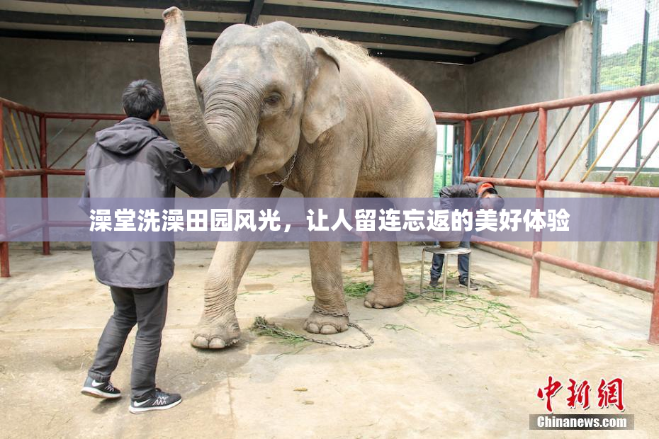 澡堂洗澡田园风光，让人留连忘返的美好体验