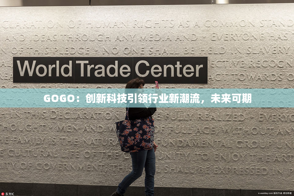 GOGO：创新科技引领行业新潮流，未来可期