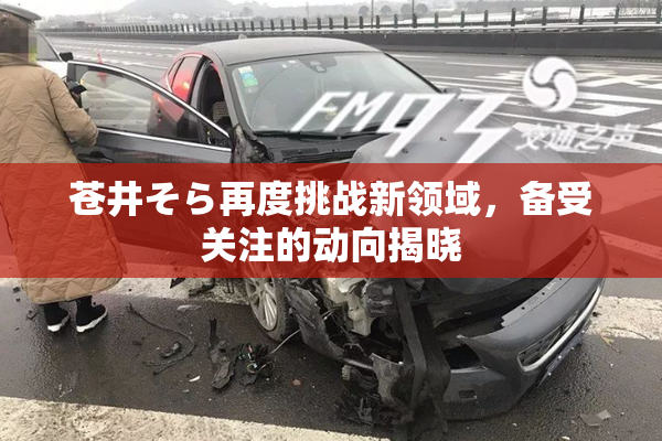 苍井そら再度挑战新领域，备受关注的动向揭晓