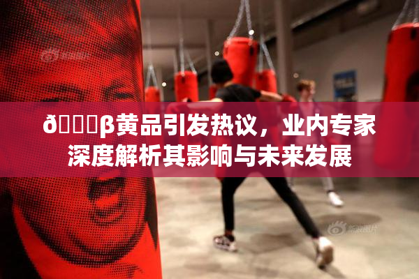 🔞β黄品引发热议，业内专家深度解析其影响与未来发展