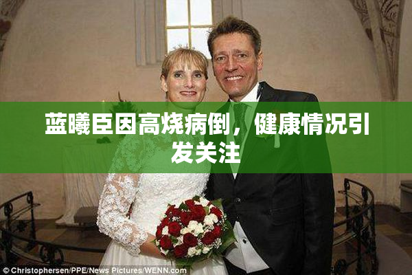 蓝曦臣因高烧病倒，健康情况引发关注