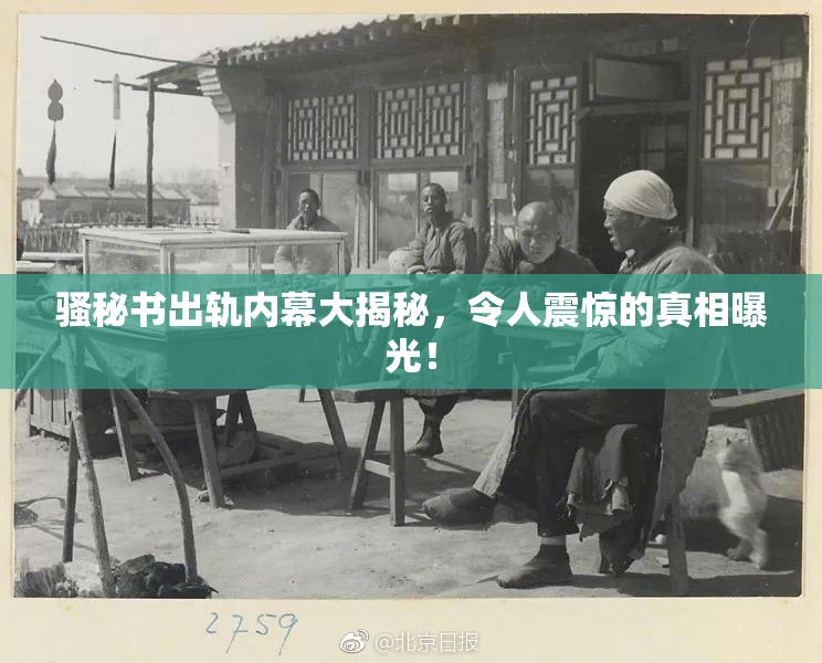 骚秘书出轨内幕大揭秘，令人震惊的真相曝光！