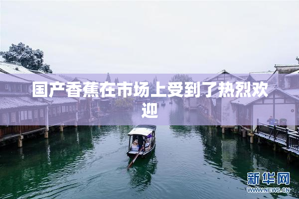国产香蕉在市场上受到了热烈欢迎