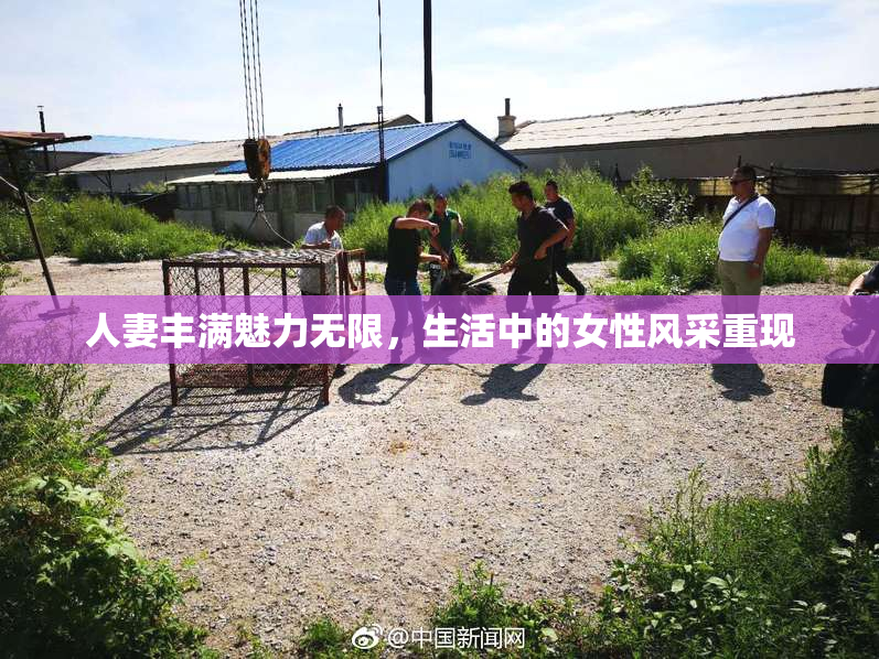 人妻丰满魅力无限，生活中的女性风采重现