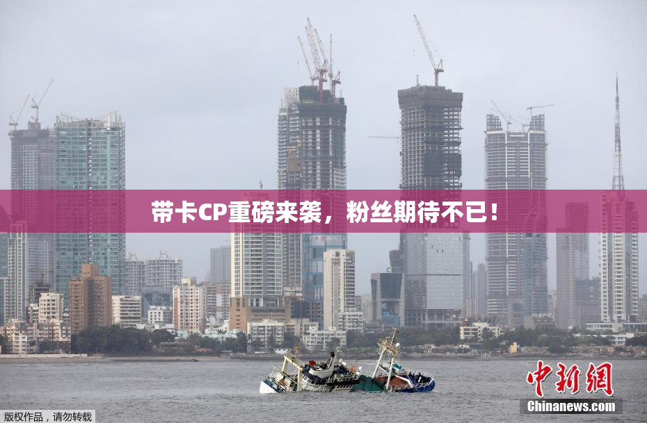 带卡CP重磅来袭，粉丝期待不已！