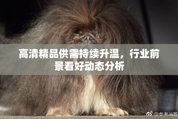 高清精品供需持续升温，行业前景看好动态分析