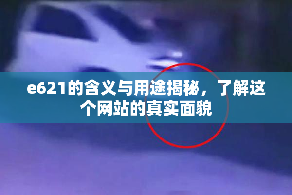 e621的含义与用途揭秘，了解这个网站的真实面貌
