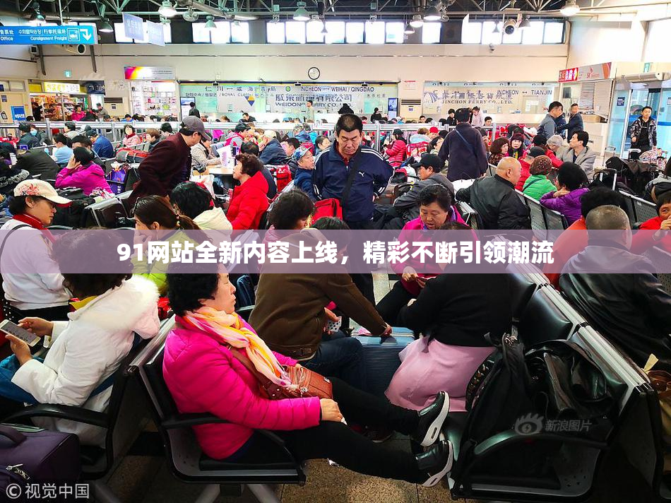 91网站全新内容上线，精彩不断引领潮流
