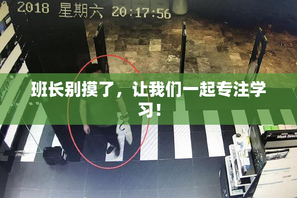 班长别摸了，让我们一起专注学习！