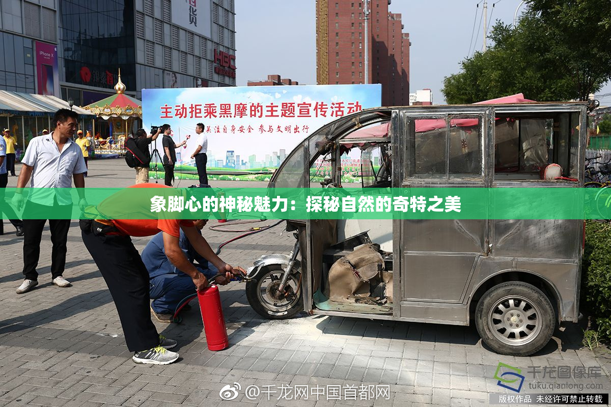象脚心的神秘魅力：探秘自然的奇特之美