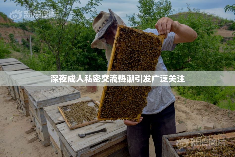 深夜成人私密交流热潮引发广泛关注
