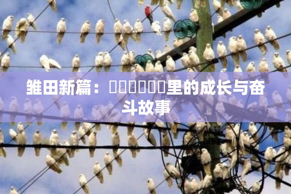 雏田新篇：❌‌❌‌❌‌里的成长与奋斗故事
