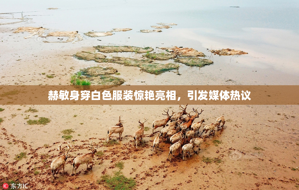 赫敏身穿白色服装惊艳亮相，引发媒体热议