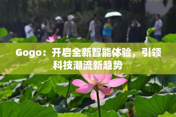 Gogo：开启全新智能体验，引领科技潮流新趋势