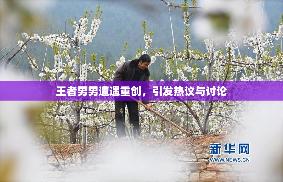 王者男男遭遇重创，引发热议与讨论