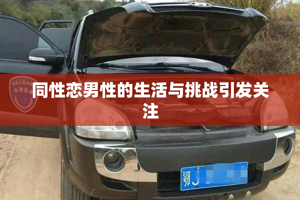 同性恋男性的生活与挑战引发关注
