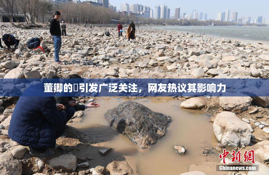 董卿的婬引发广泛关注，网友热议其影响力
