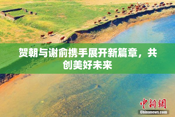 贺朝与谢俞携手展开新篇章，共创美好未来
