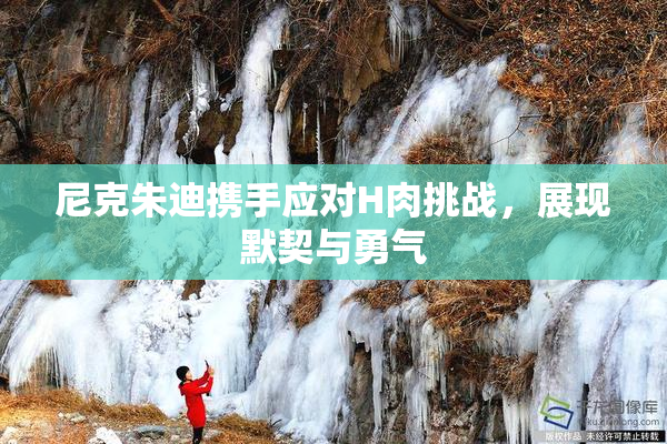 尼克朱迪携手应对H肉挑战，展现默契与勇气