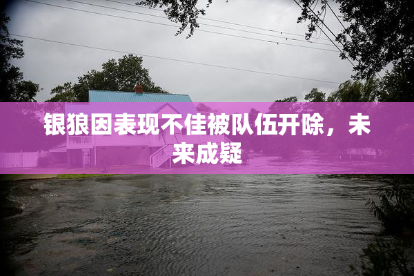 银狼因表现不佳被队伍开除，未来成疑