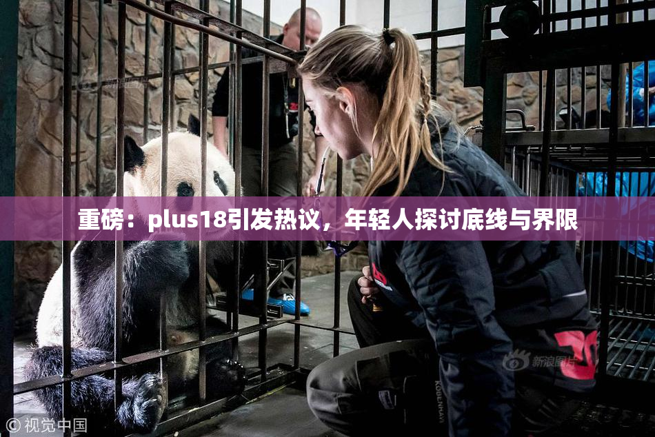 重磅：plus18引发热议，年轻人探讨底线与界限