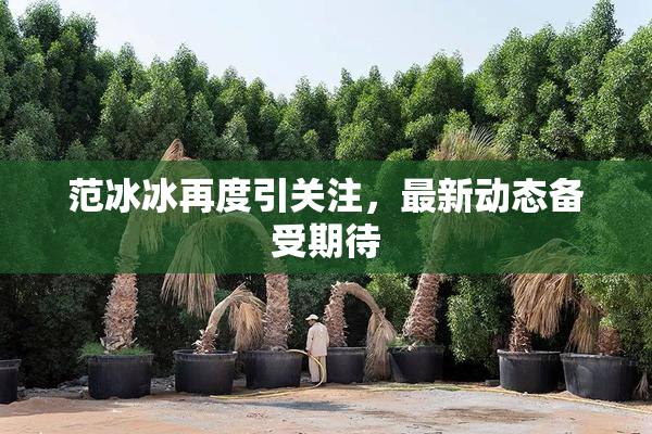 范冰冰再度引关注，最新动态备受期待