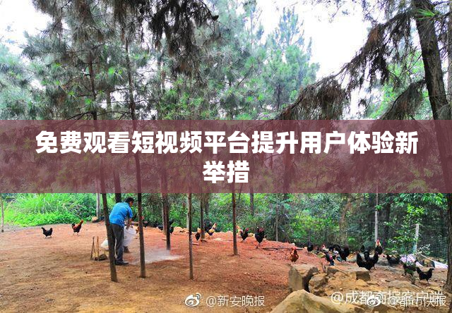 免费观看短视频平台提升用户体验新举措