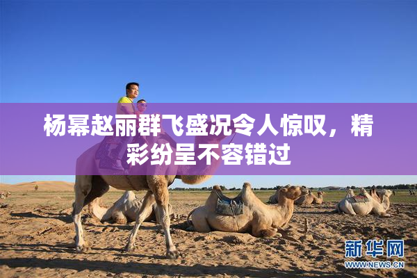 杨幂赵丽群飞盛况令人惊叹，精彩纷呈不容错过