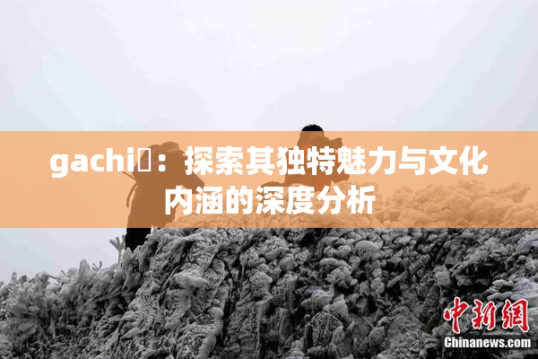 gachi籣：探索其独特魅力与文化内涵的深度分析