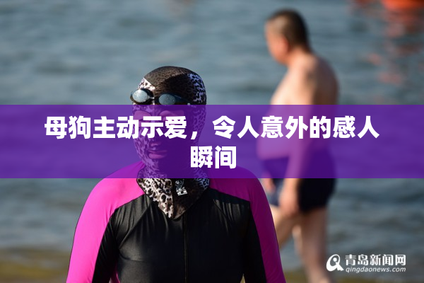 母狗主动示爱，令人意外的感人瞬间
