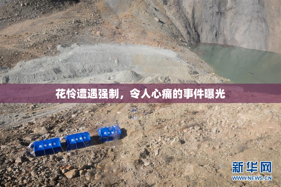 花怜遭遇强制，令人心痛的事件曝光