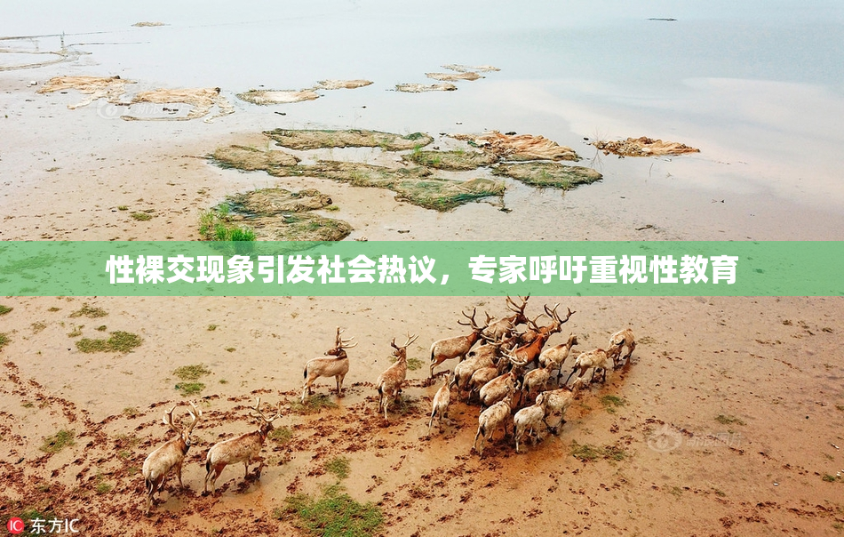 性裸交现象引发社会热议，专家呼吁重视性教育